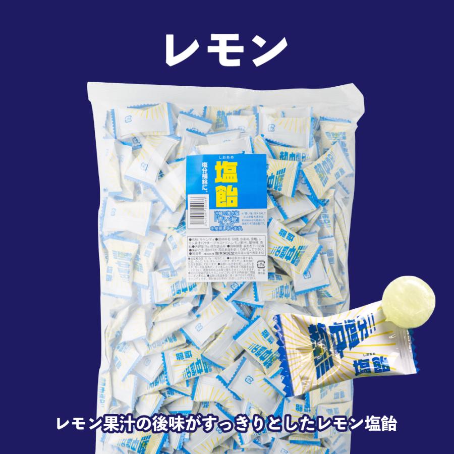 塩飴 1kg 業務用 レモン 梅 サイダー エナジードリンク スポーツドリンク 全5種 塩分補給 熱中症対策 父の日｜chocoru｜06