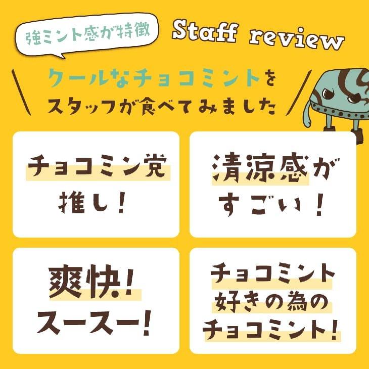 割れチョコ クールなチョコミント 180g チョコミント 訳あり Ware Mint180 チョコレート工房 チョコル 通販 Yahoo ショッピング