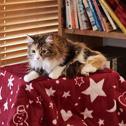 キャティーマン (CattyMan) 遠赤外線ペットの夢こたつ 感電 ケガ やけどの原因