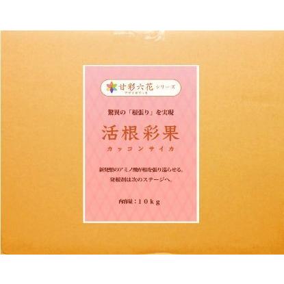 驚異の根張りを実現する液体肥料・発根剤 活根彩果(カッコンサイカ) (10kg) 活根彩果 カッコンサイカ