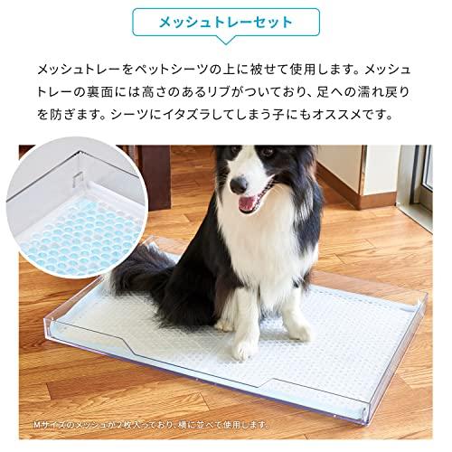 【OFT】 クリアレット 2 L メッシュトレーセット メッシュ丸穴タイプ 