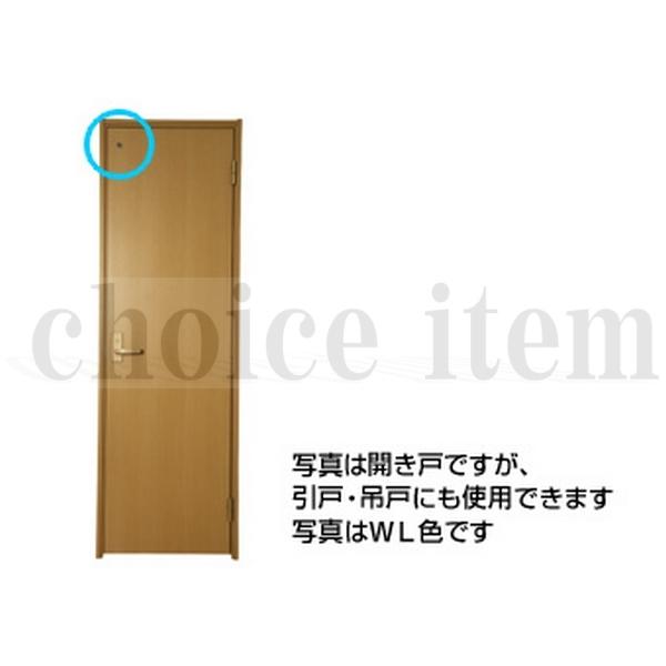 DAIKEN DOOR 10個セット DAIKEN 送料無料 ダイケン 室内ドア 開き戸 扉部材 明り窓 E色 品番