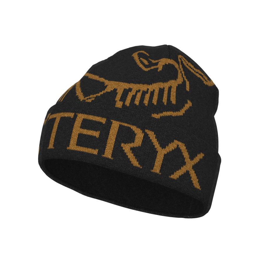 ARC'TERYX アークテリクス FW25 Bird Word Toque