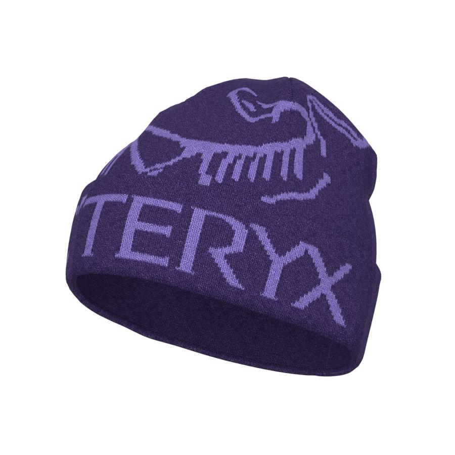 ARC'TERYX アークテリクス FW25 Bird Word Toque