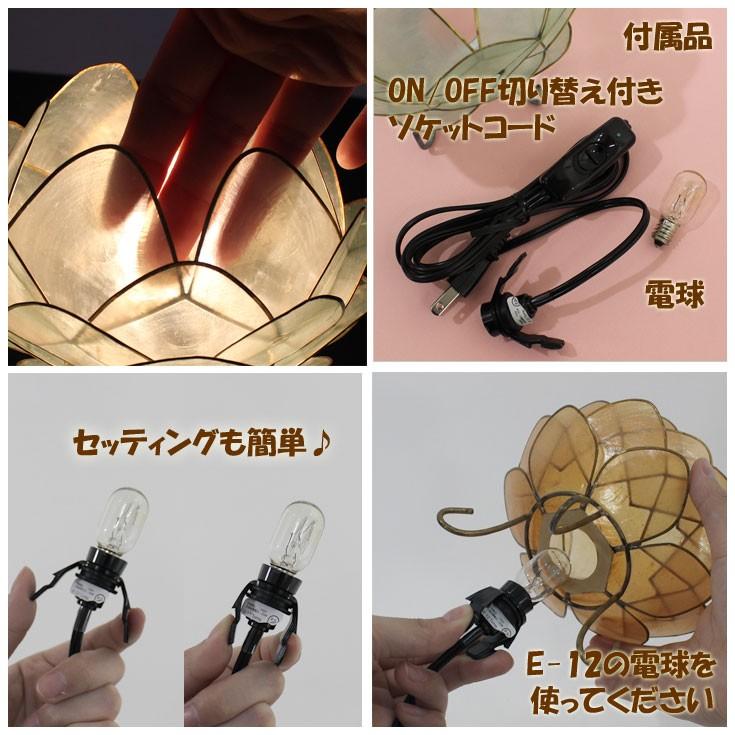 トモ カピス ロータス ランプ Lサイズ 3595 全6色 : choice-select