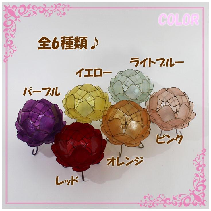 トモ カピス ロータス ランプ Lサイズ 3595 全6色 : choice-select