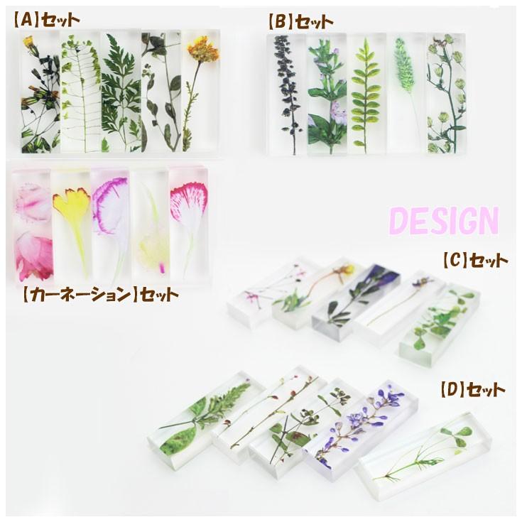 メール便送料無料 Toumei トウメイ 押し花 Hashioki 箸置き 5個セット A B C D カーネーション Ot 523 To Hashioki Choice Select 通販 Yahoo ショッピング