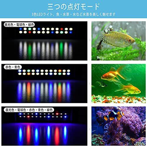 限 定 販 売 観賞魚生体 Morefulls Morefulls 水槽ライト Led 水槽照明 28 46cm アクアリウムライト 熱帯魚 5色 時間寿命 観賞魚飼育 水草育成 長さ調節 Www Threeriversofs Com