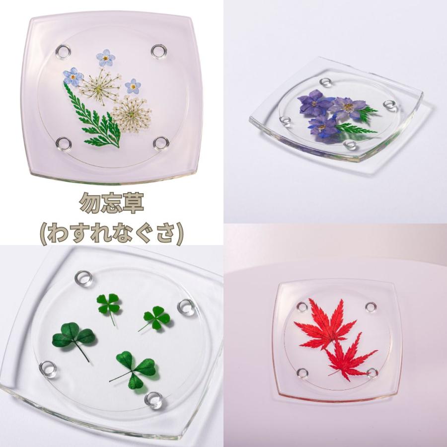 押し花コースター アクリルコースター 本物のお花を閉じ込めた 花言葉
