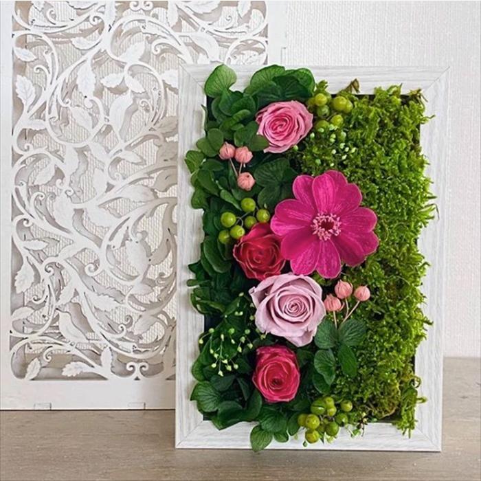 苔プリ シッポゴケ 盆栽 苔プリ アラハゴケ 小分け プリザーブド 花材 コケ ジオラマ コケ ナチュラル 植物 アクアリム テラリウム アレンジ Kp011 ポジティブエフェクト ヤフー店 通販 Yahoo ショッピング