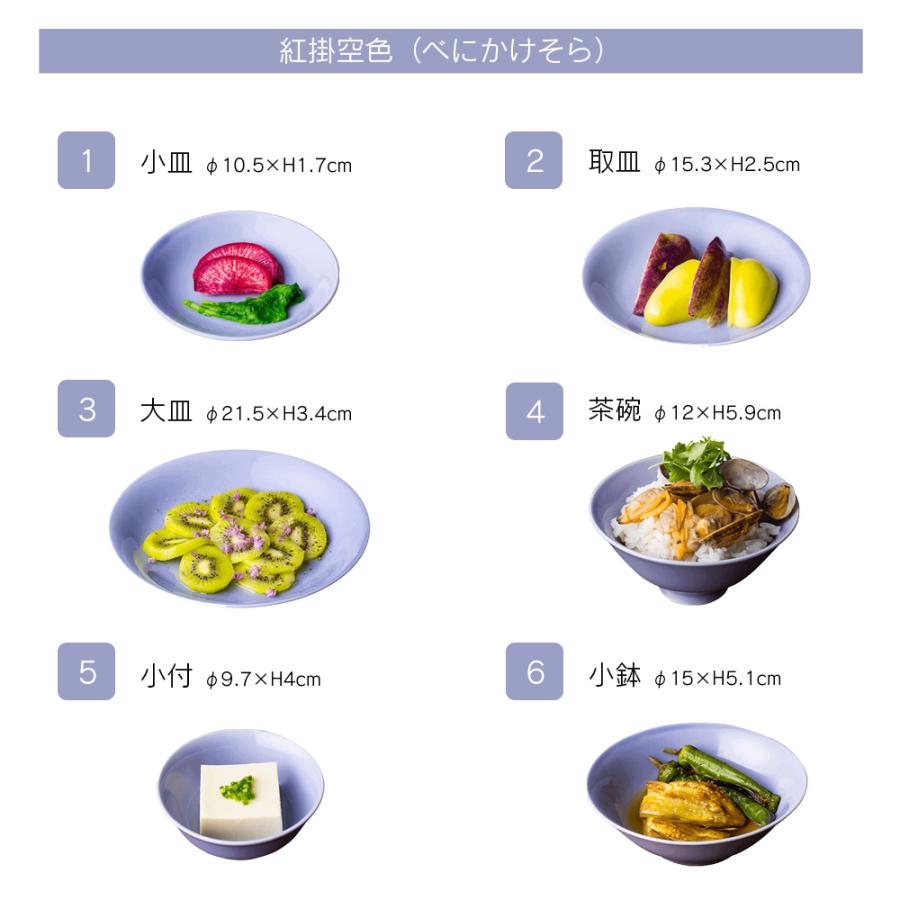 小皿 取皿 大皿 小付 茶碗 小鉢 6点セット 波佐見焼 おしゃれ かわいい 北欧 豆皿 パスタ スープ 丸 食洗器・レンジ対応 日本製 DRESS ドレスの画像