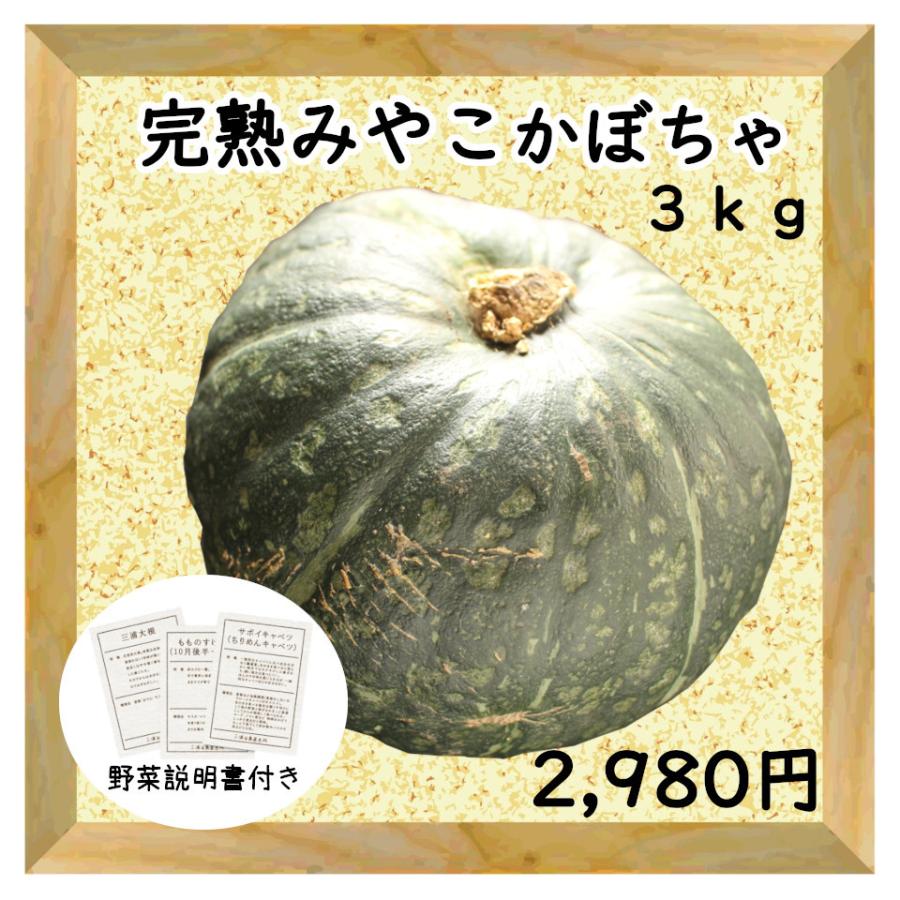 夏セール開催中 三浦野菜 完熟みやこかぼちゃ 約3kg 1個 3個 送料半額 東日本 Wantannas Go Id