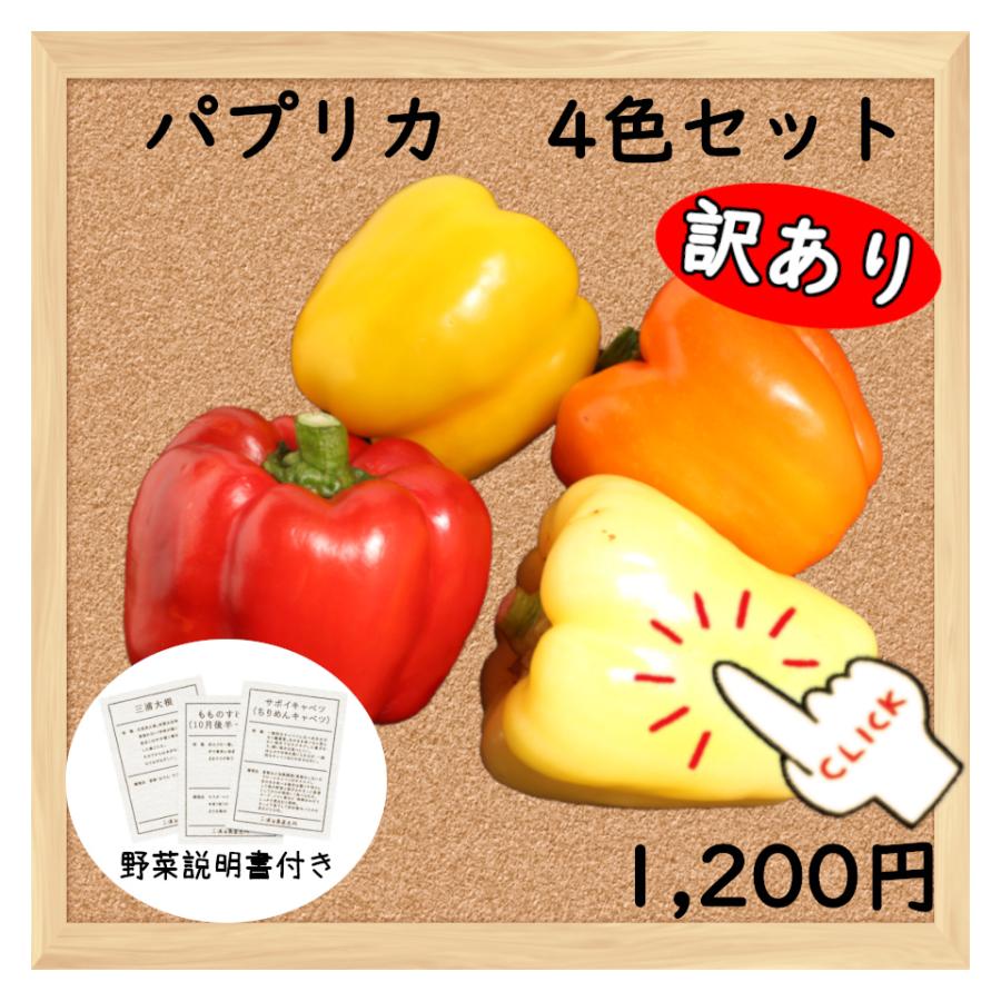 高質 三浦野菜 訳あり 完熟パプリカ 四色セット 送料半額 東日本 Wantannas Go Id