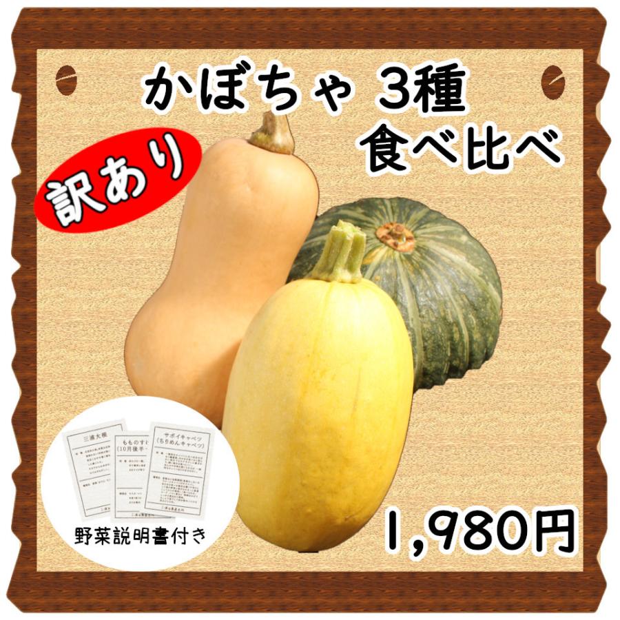 経典 三浦野菜 訳あり かぼちゃ 3種 みやこカボチャ そうめんカボチャ バターナッツカボチャ 食べ比べセット 各1個 送料半額 東日本 Wantannas Go Id