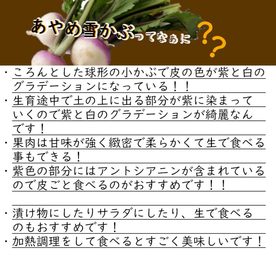 ホットセール 三浦野菜 訳あり あやめ雪かぶ 3個 送料半額 東日本 神奈川県産 Genchiextreme Com