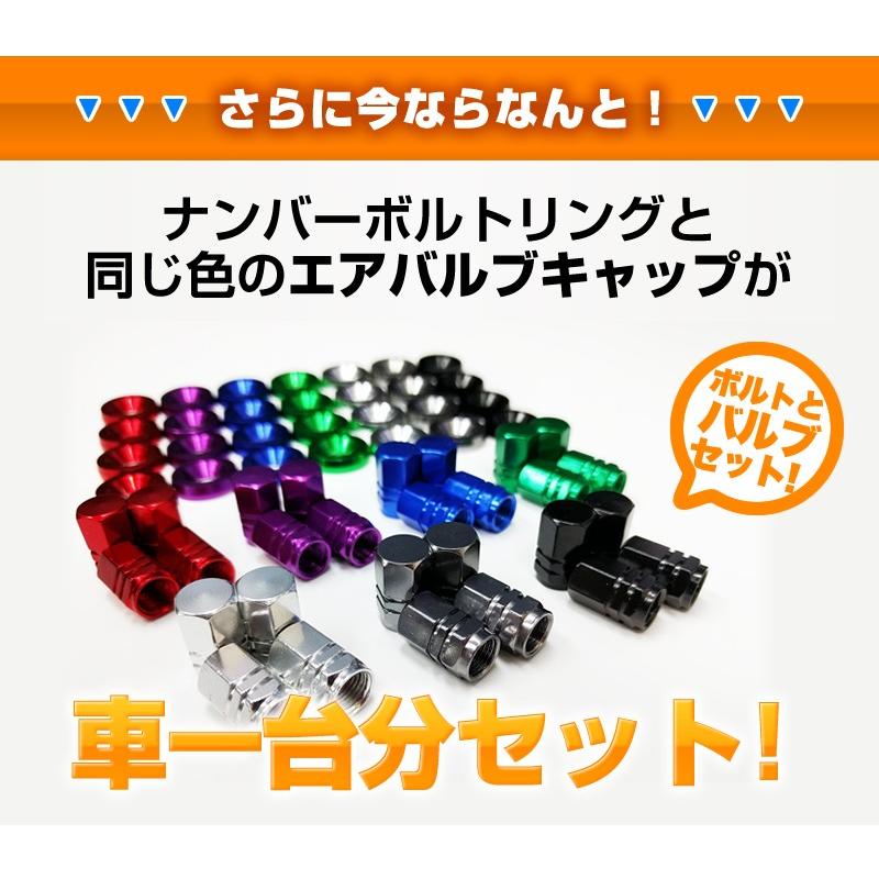 ナンバーボルトリング ナンバーボルト ナンバープレート LED字光式対応の25mmロングボルトカラーワッシャー エアバルブキャップ ステンレスねじ  送料無料 |  | 03