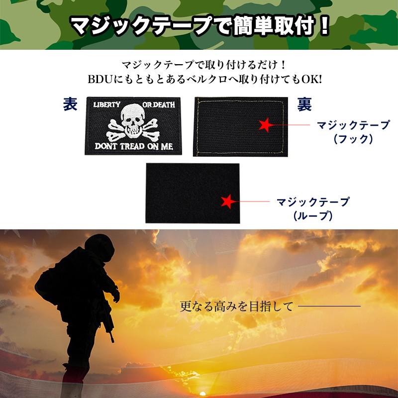 サバゲー用】 BDU ベルクロワッペン クロススカルシリーズ : CRAZY