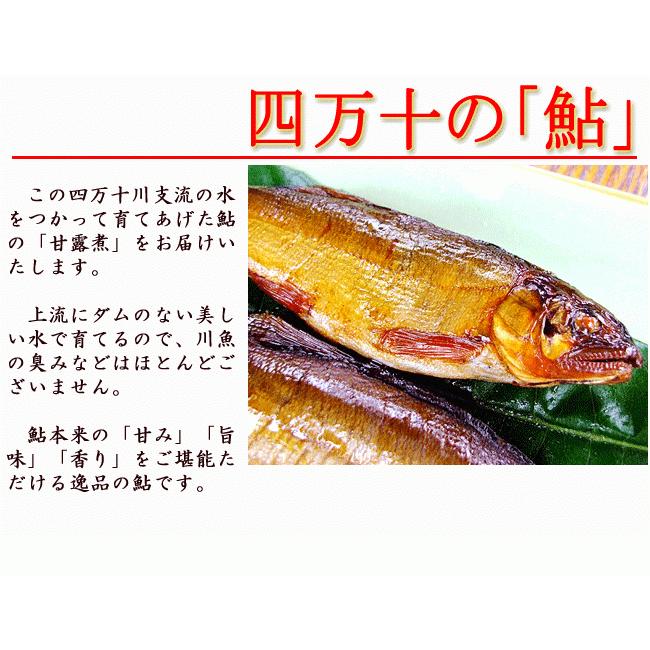 四万十川の鮎 あゆ 甘露煮 ４尾 約55g 尾 高知県四万十町産 炭火無煙燻製仕上げ 甘さひかえめ 焼鮎の四万十煮 Ayu Kanroni01 旨い果物 魚のアグリファーム高知 通販 Yahoo ショッピング