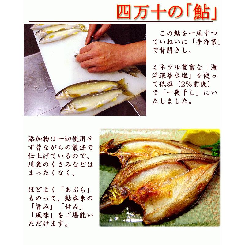 ダバダ火振 四万十の鮎一夜干し トロ鰹たたきのセット 送料無料 高知産 B 鮎4尾 鰹500 本格栗焼酎 幻の銘酒 四万十川 あゆ 戻り鰹 かつお Ayu Katuo02 旨い果物 魚のアグリファーム高知 通販 Yahoo ショッピング