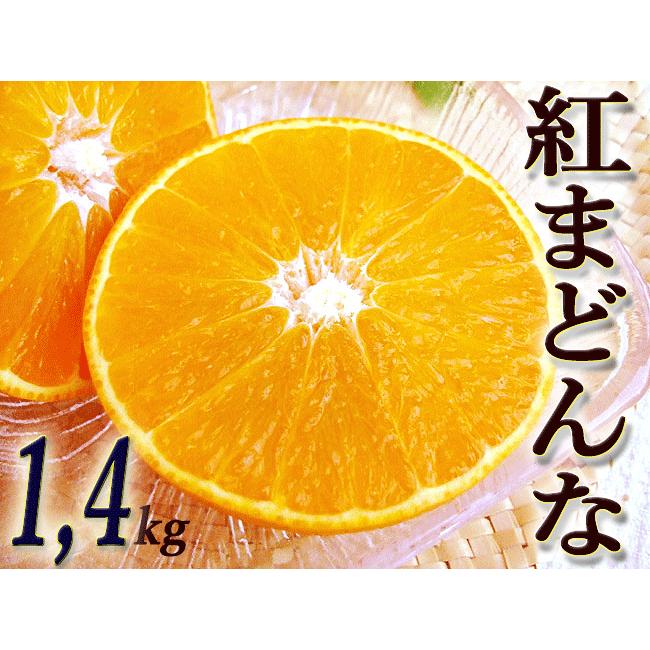 紅まどんな 約1.4キロ 愛媛産 秀品 プリプリの果肉 ゼリー感覚 紅