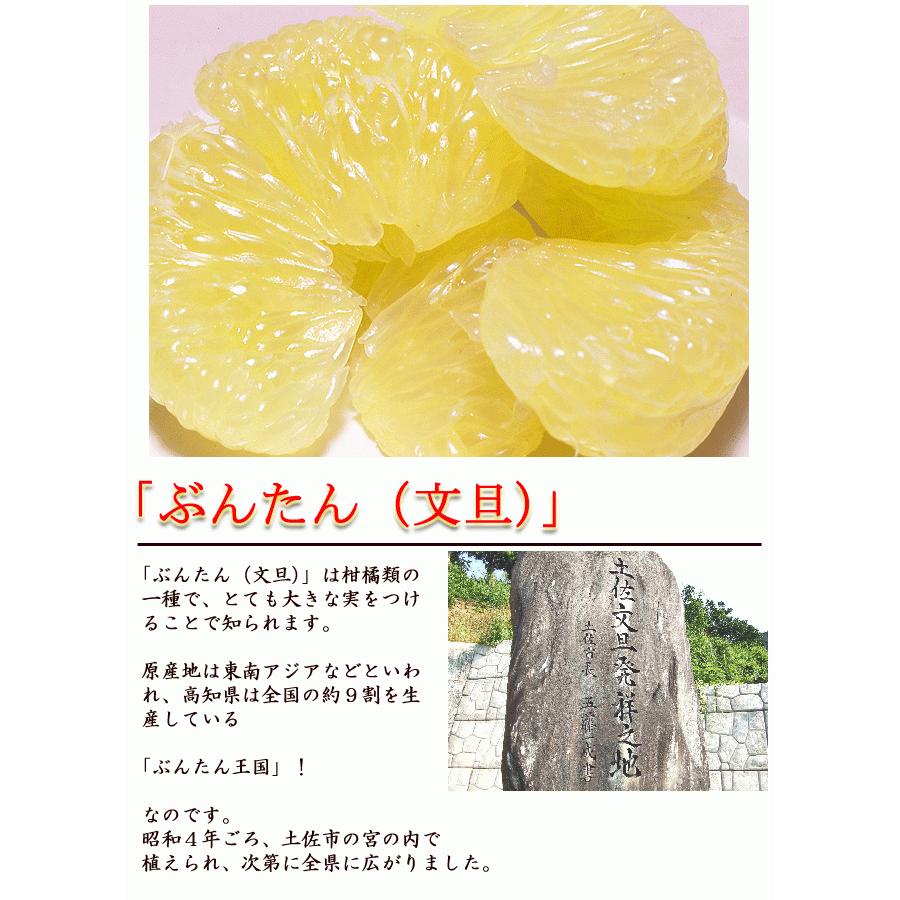 文旦 水晶文旦 超大玉2玉セット 送料無料 光センサー選果 ご家庭用 約