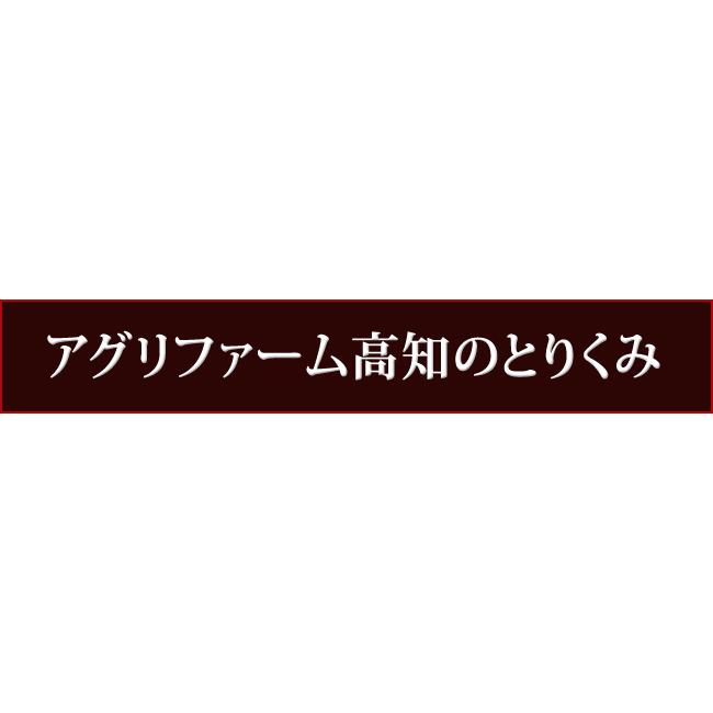 文旦 土佐文旦 約10kg 大玉3〜4Ｌサイズ限定 露地ぶんたん 高知産 光センサー選果 ご家庭用 送料無料 文旦 ブンタン ぶんたん ギフト みかん｜chokuhan｜04