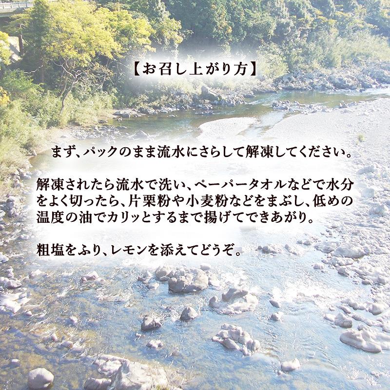 天然川エビ 200g 宮崎産 加熱用 川エビ スジエビ 手長エビ テナガエビ 国産 天ぷら 唐揚げ 素揚げ かき揚げ 塩ゆで えび豆 佃煮 ...