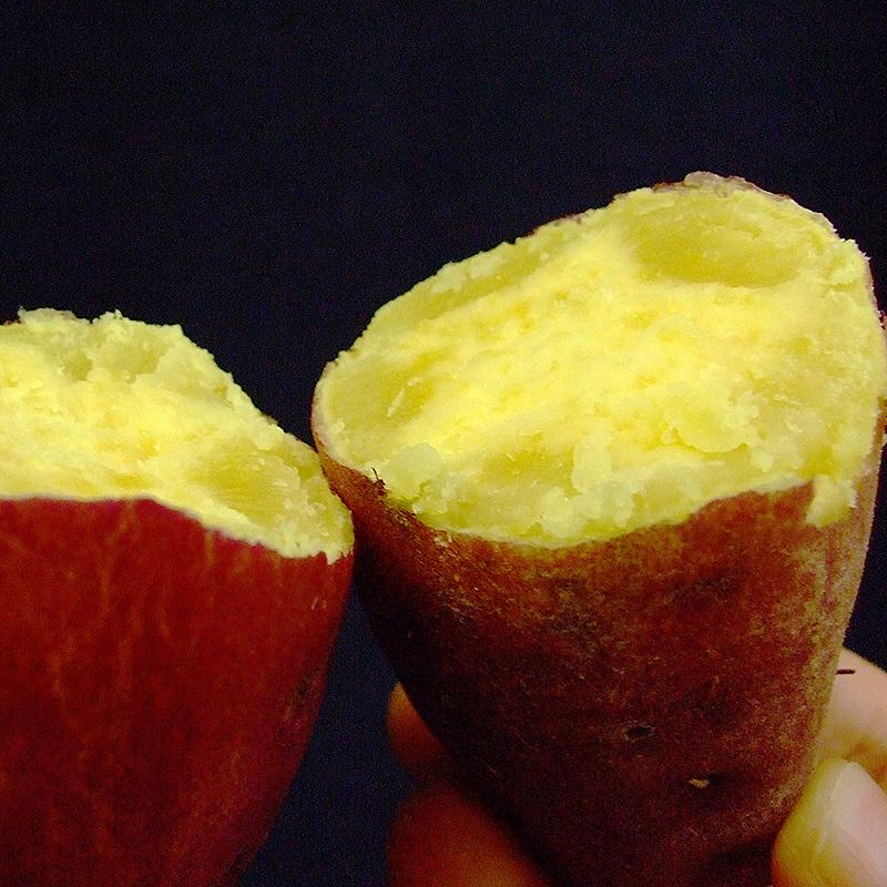 さつまいも 金時いも 2.4kg M〜Lサイズ 送料無料 土佐金時 高知 さつまいも 金時いも 2.4kg M〜Lサイズ 送料無料 土佐金時 高知