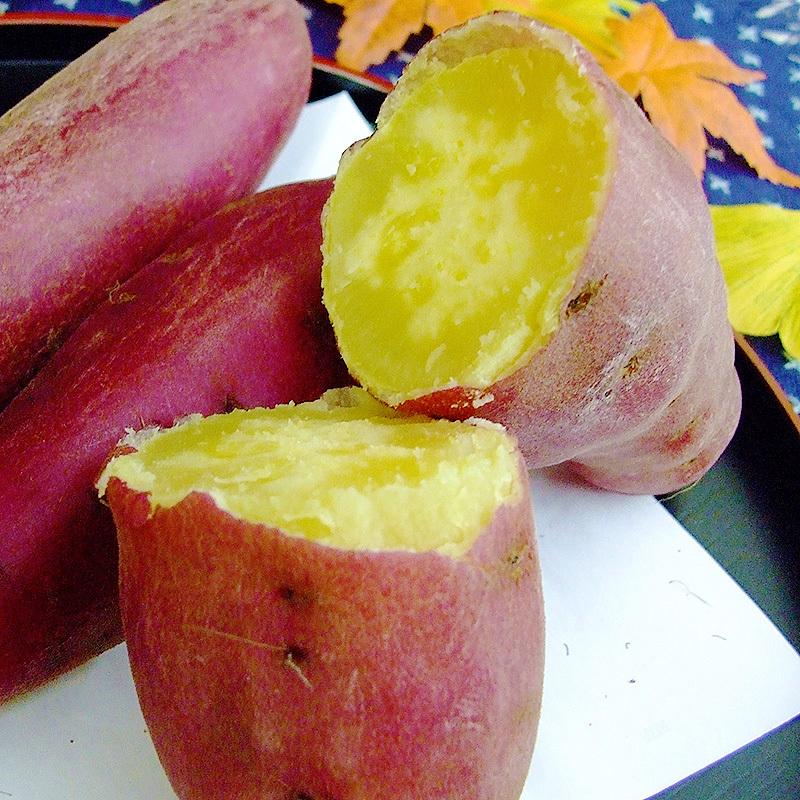 さつまいも 金時いも 2.4kg M〜Lサイズ 送料無料 土佐金時 高知 さつまいも 金時いも 2.4kg M〜Lサイズ 送料無料 土佐金時 高知