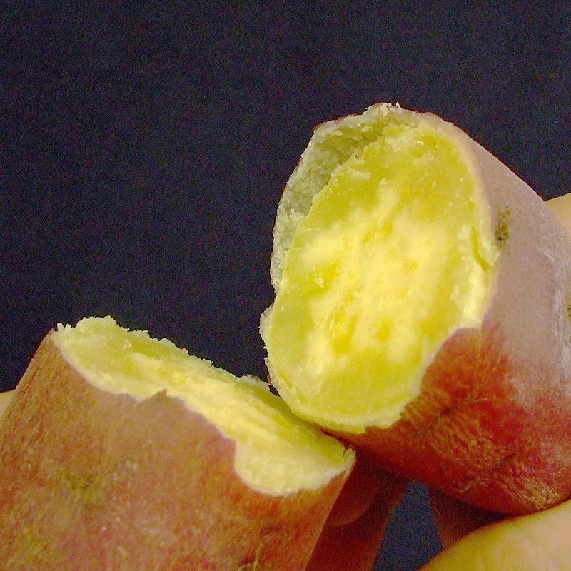 さつまいも 金時いも 約5kg M〜Lサイズ 送料無料 土佐金時 高知