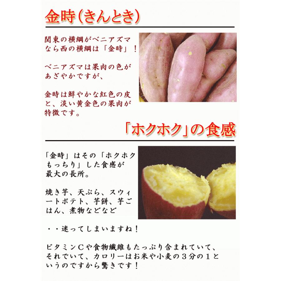 さつまいも 金時いも 約5kg M〜Lサイズ 送料無料 土佐金時 高知