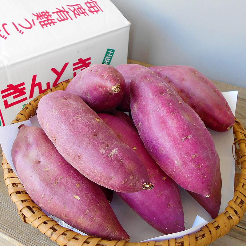 さつまいも 金時いも 約5kg M〜Lサイズ 送料無料 土佐金時 高知 さつまいも 金時いも 約5kg M〜Lサイズ 送料無料 土佐金時 高知