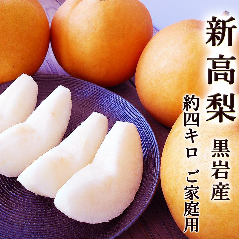 梨 新高梨 黒岩産 にいたかなし 約4キロ 送料無料 4〜6玉入 高知産 佐川町 ご家庭用 超大玉限定 産地直送 国産 果汁たっぷり 甘い 高 ...