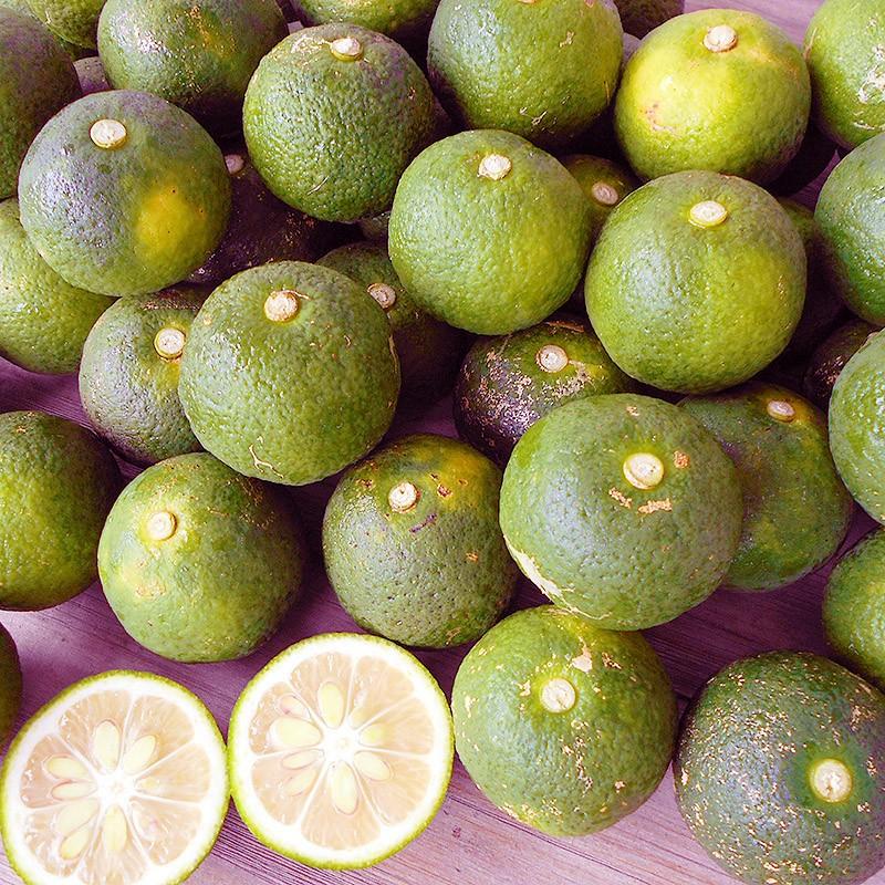 仏手柑 ぶしゅかん 5玉 高知産 土佐の酢みかん ご家庭用 香酸柑橘 餅柚