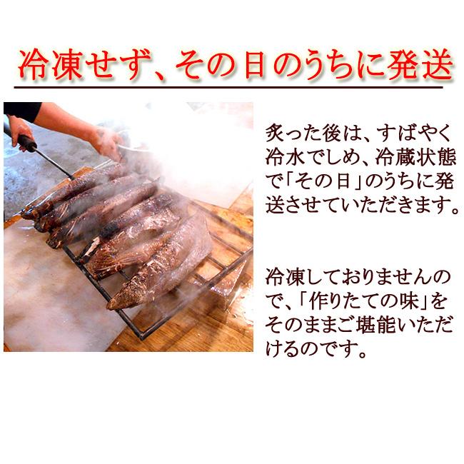 （鰹）まとめ買い　9点 鮮魚通販［豊洲 Okawari 鮮魚店］生 初鰹 カツオ 四分一 約650