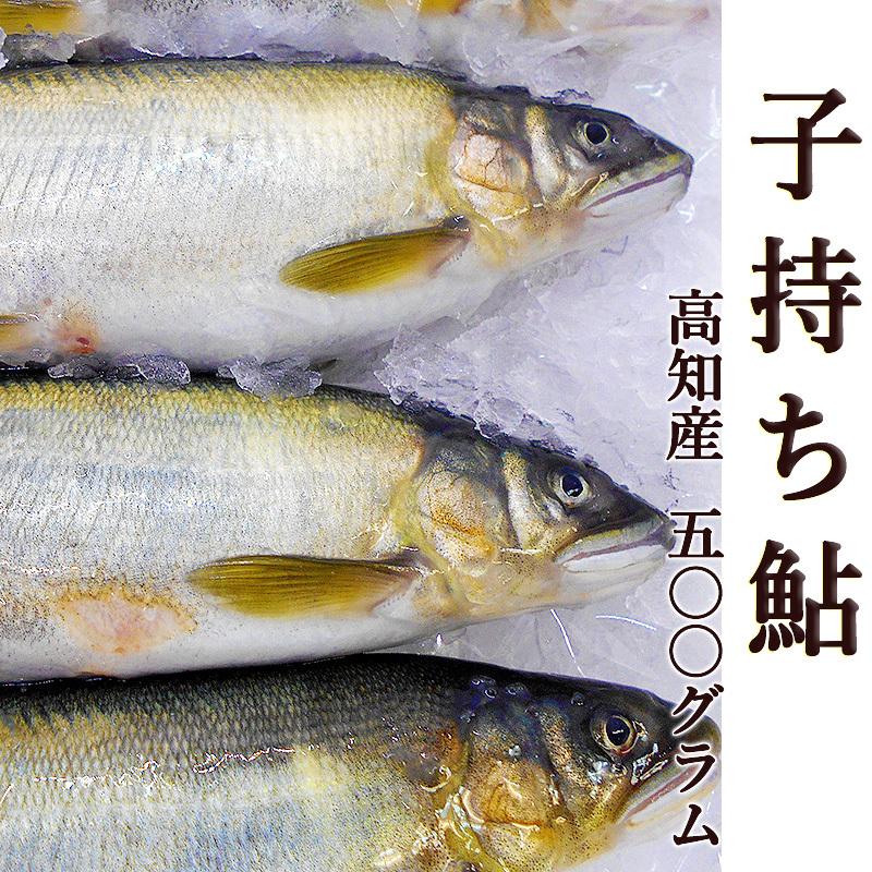 子持ち鮎 500g 高知産 5尾前後 送料無料 国産 養殖 子持ちあゆ 香魚 塩焼き 甘露煮 たまごがぎっしり 鮎 アユ ギフト プレゼント お中元 お歳暮 Fn098s3 旨い果物 魚のアグリファーム高知 通販 Yahoo ショッピング