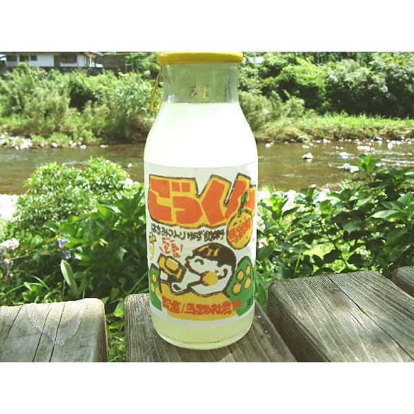 ごっくん馬路村 ふるさと版 期間限定 180ml×24本セット 送料無料 ゆずジュース 馬路村公認飲料 はちみつ 蜂蜜 高知 馬路村農協 ごっくん 柚子 ユズ プレゼント｜chokuhan｜09