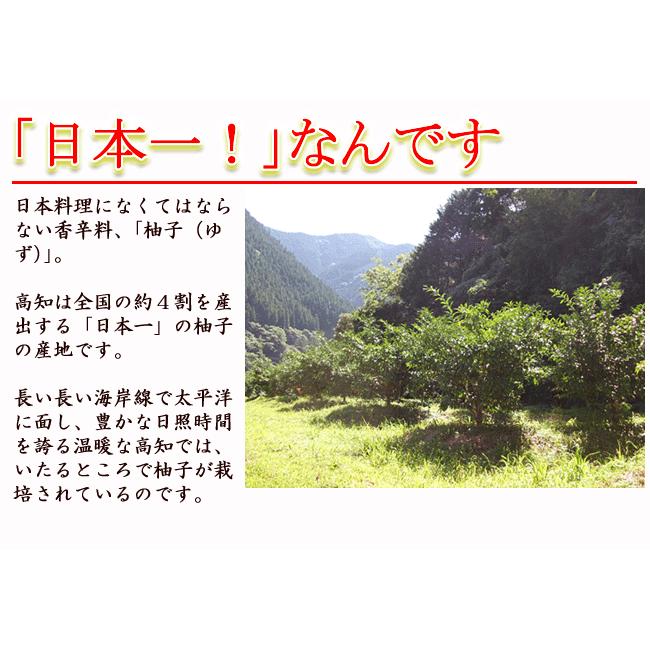 ゆず酢 手しぼり 100ml ゆず果汁100％ 柚子酢 土佐嶺北産 無塩 吉野川ゆず 契約栽培柚子使用 ゆずす ゆのす 香りづけ 風味付け 酢の物 鰹たたき ハイボール｜chokuhan｜03