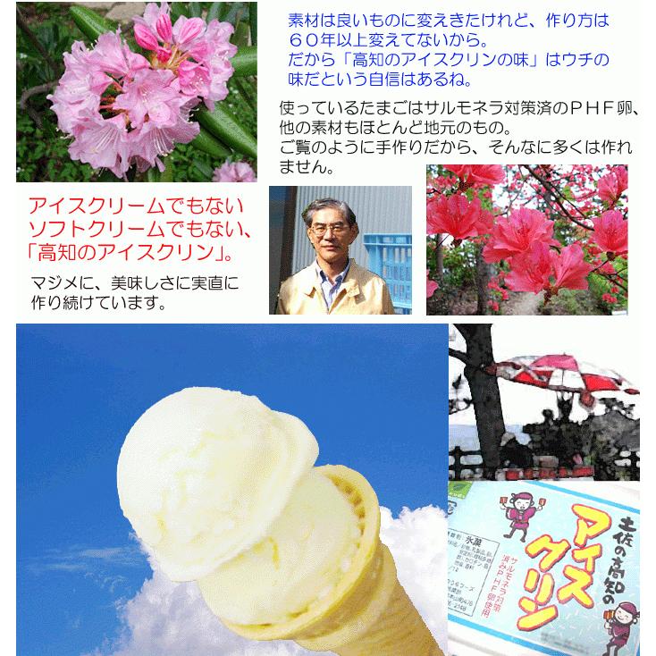 アイスクリン 業務用 4リットル 高知産 氷菓 アイスクリーム 高知の