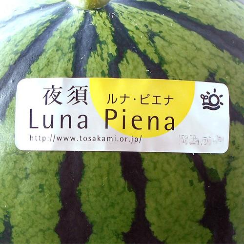 すいか ルナ・ピエナ 高級すいか 高知県夜須町産 約2kg 糖度検査済 送料無料 土佐の高級すいか  ギフト プレゼント 西瓜 スイカ お歳暮｜chokuhan｜04