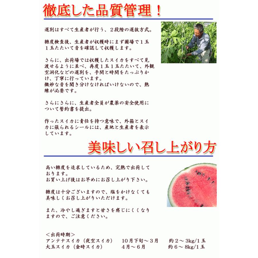 すいか ルナ・ピエナ 高級すいか 高知県夜須町産 約2kg 糖度検査済 送料無料 土佐の高級すいか  ギフト プレゼント 西瓜 スイカ お歳暮｜chokuhan｜07