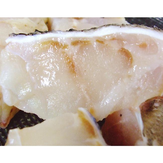 本クエ 真ぐえ 天然もの 約500g 3 4人前 国産 鍋用カット済 骨付き くえ 九絵 あら クエ鍋 あら鍋 潮汁 マハタ ハタ ギフト プレゼント お中元 お歳暮 Fn002s3 旨い果物 魚のアグリファーム高知 通販 Yahoo ショッピング