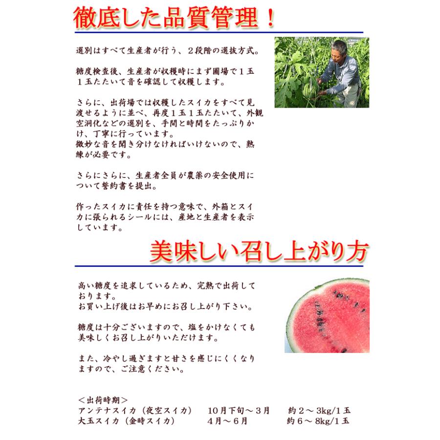 すいか ルナ・ピエナ 高級すいか 大玉約6kg 送料無料 高知県夜須町産 