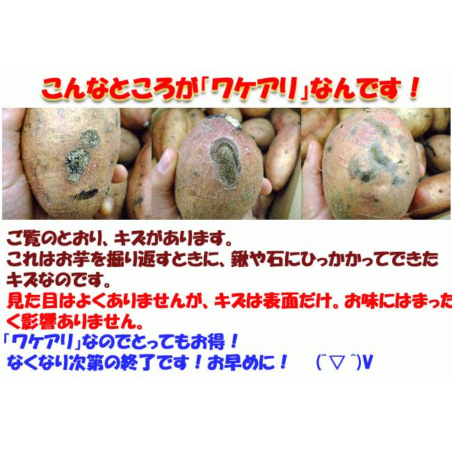 爆買 わけあり 蜜芋 焼き芋専用 安納芋品種 約5kg 送料無料 M〜Lサイズ