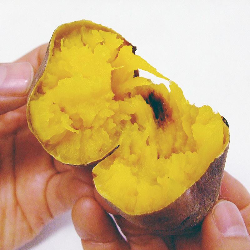 爆買 わけあり 蜜芋 焼き芋専用 安納芋品種 約5kg 送料無料 M〜Lサイズ