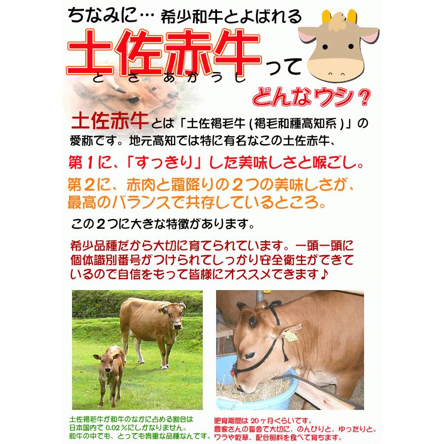 土佐あかうし 土佐和牛 ロース焼肉用 500g wagyu 土佐赤牛 和牛 牛肉 焼肉 ステーキ しゃぶしゃぶ 高級 ギフト プレゼント 産地直送 お歳暮｜chokuhan｜02