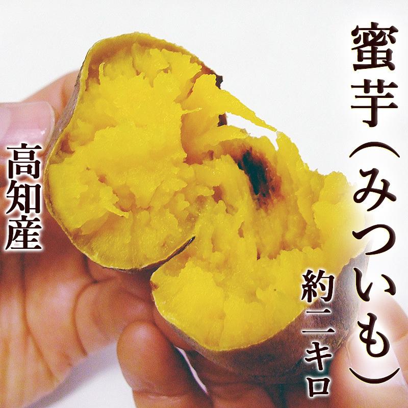 さつまいも 蜜芋 焼き芋専用 安納芋品種 2kg M〜Lサイズ 高知産