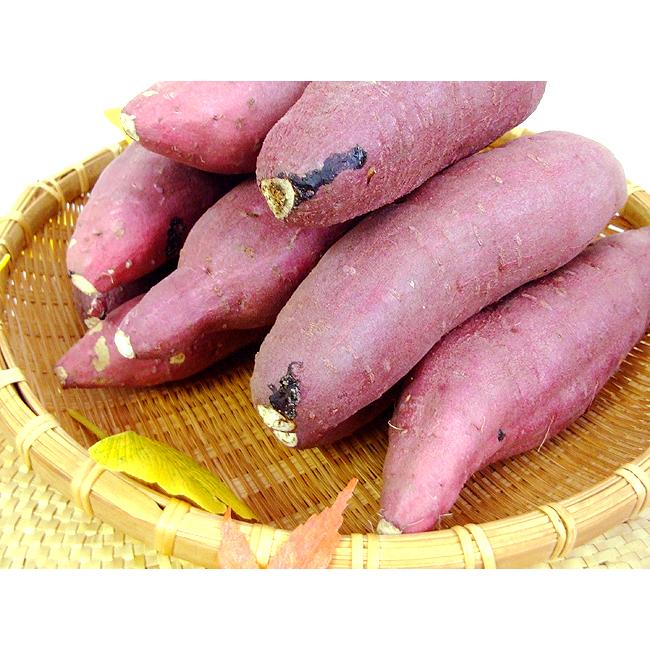 さつまいも 紅はるか 焼き芋専用 2kg M〜Lサイズ 高知産 送料 さつまいも 紅はるか 焼き芋専用 2kg M〜Lサイズ 高知産 送料