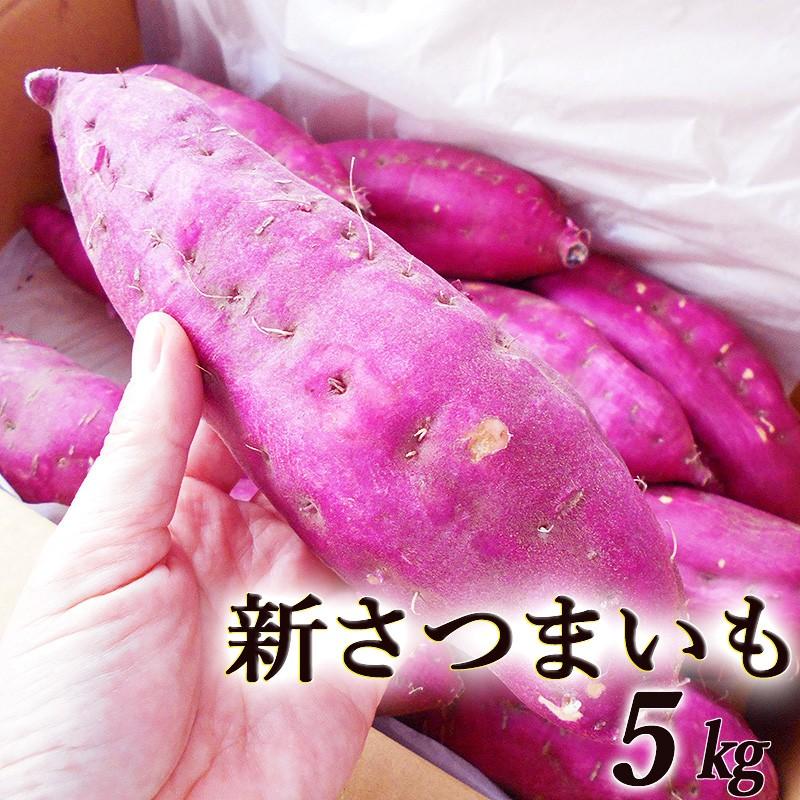 さつまいも 5kg 新さつまいも 約5kg 高知産又は徳島産 送料無料 土佐紅 