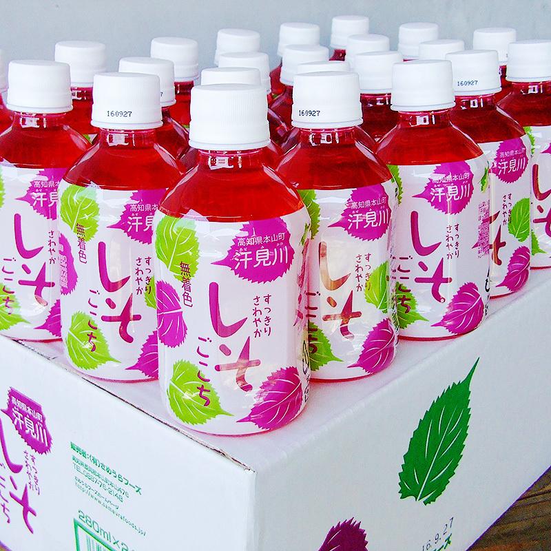 しそドリンク しそごこち 280ml×24本セット 無着色 土佐本山町の